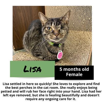 gallery photo number 7