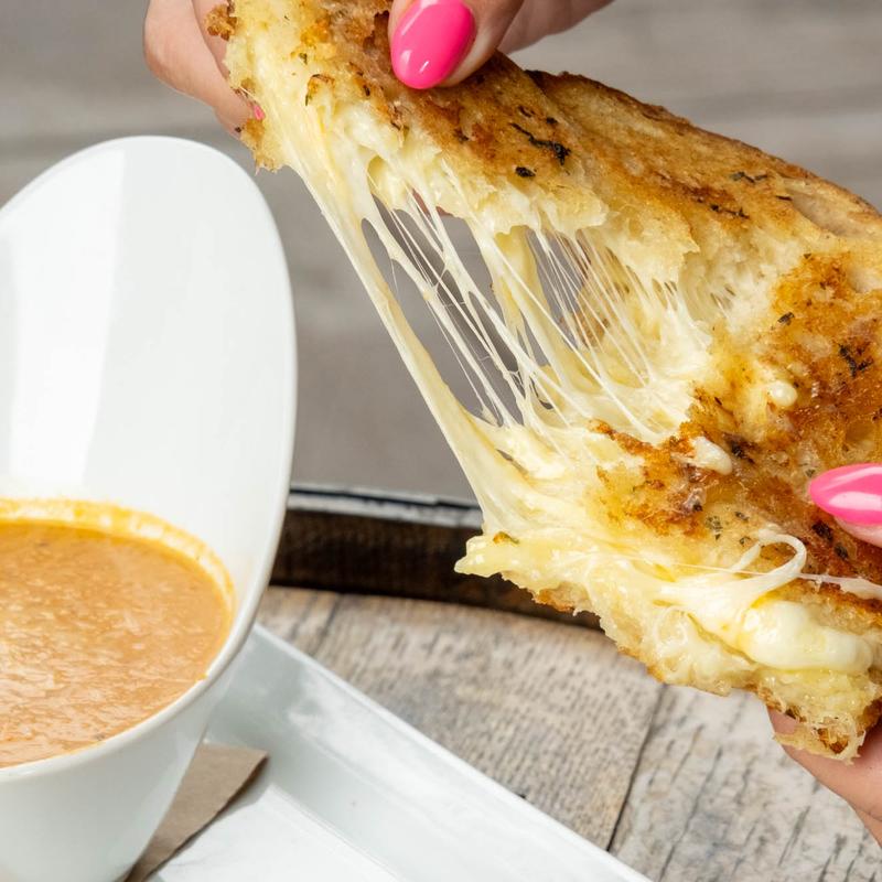Panini Grilled Cheese photo