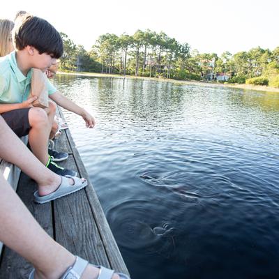 People enjoying their time by the lake