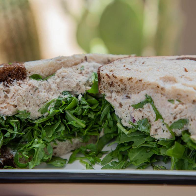 Albacore Tuna photo