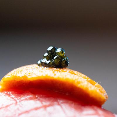 Extreme close up of Uni and caviar on nigiri sushi.