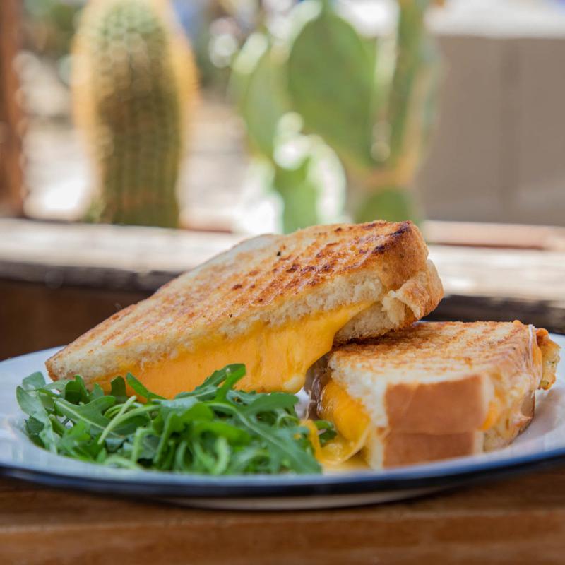 Grilled Cheese photo