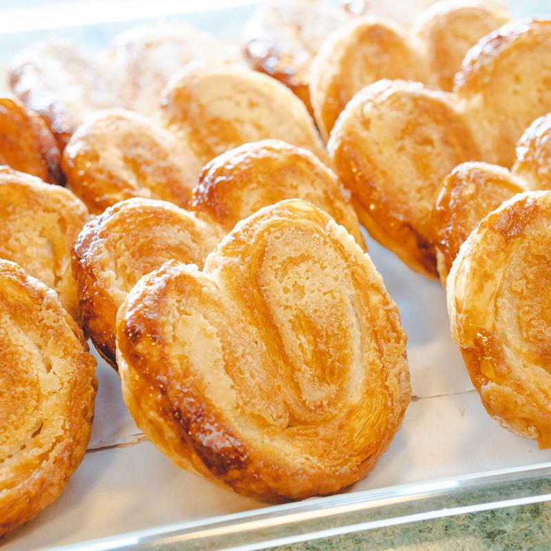 Palmier photo