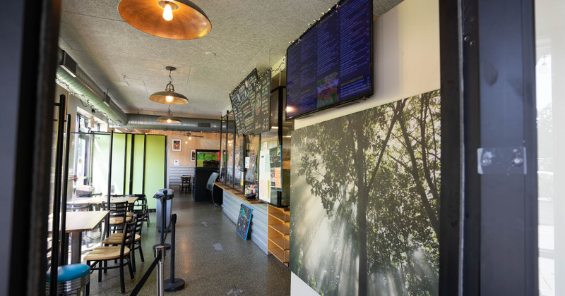 Interior, tables lined up on the left and food counter with blackboards above, screen and big picture of trees on the right