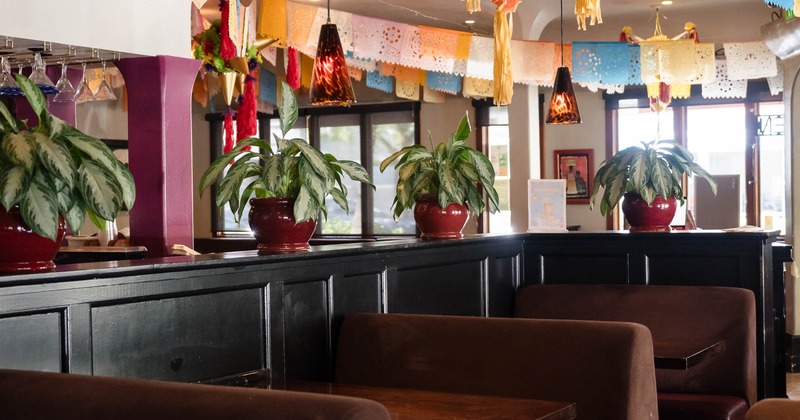 Restaurant interior, brown booths and potted plants