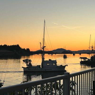 A view of the bay and the ships at sunset.