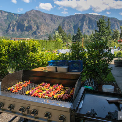 Grilled vegetables with meat with natural landscape in the back