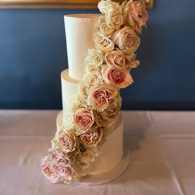 gallery photo number 1048