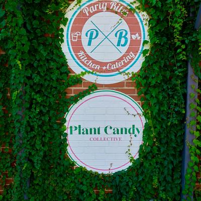 gallery photo number 137