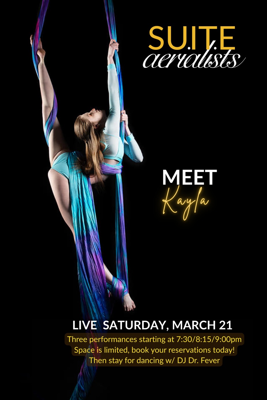 Aerial Performances event photo