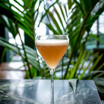 Frothy cocktail in a stemmed glass on a table against a green plant background.
