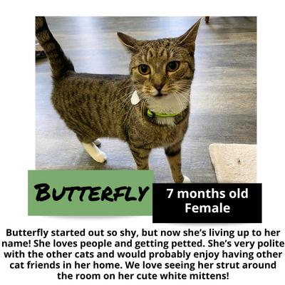 gallery photo number 11