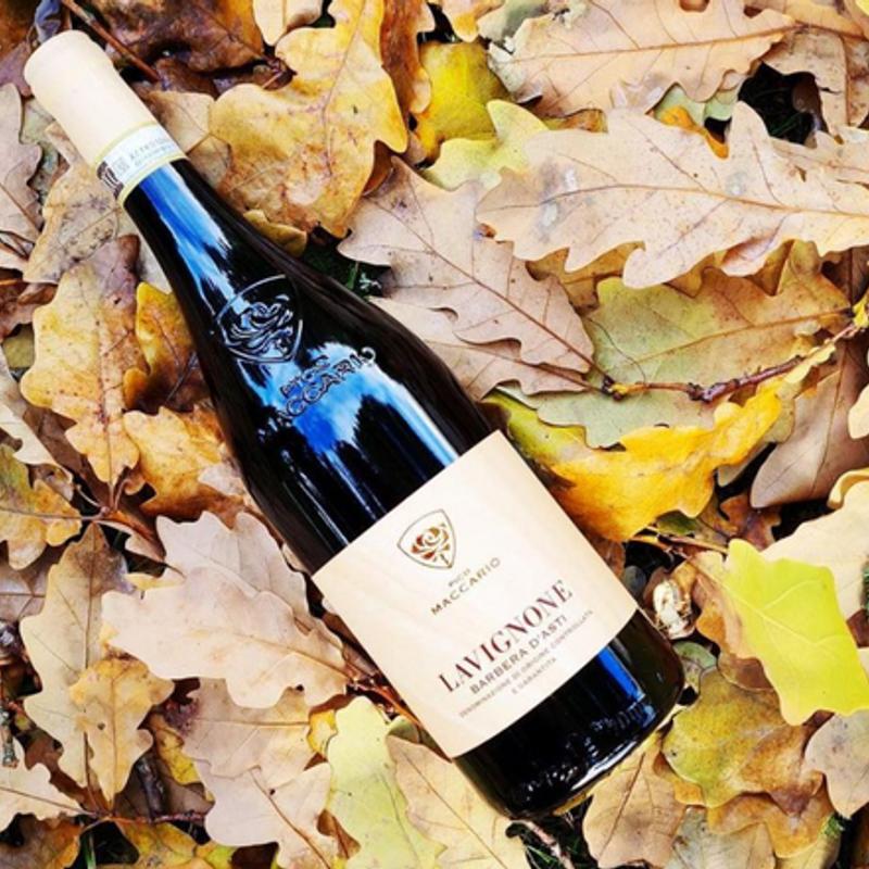 Lavagnione Barbera D'Asti photo