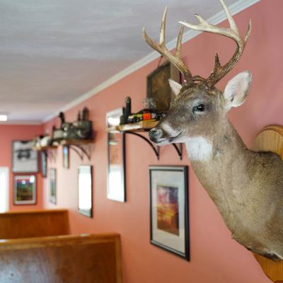 Mounted deer head and framed pictures on the wall above restaurant booth seating.