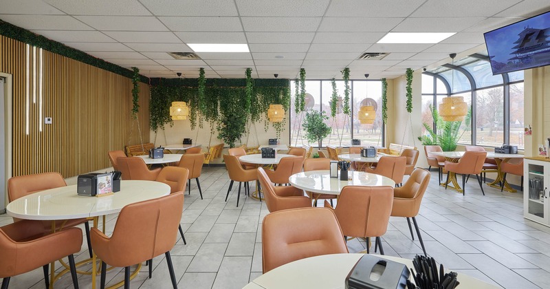 Interior, dining area, tables for four, large shop window, plant decoration