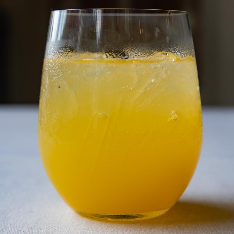 Mimosa photo