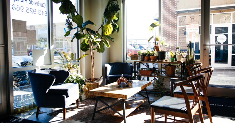 Sunlit café interior with wooden table, chairs and plants