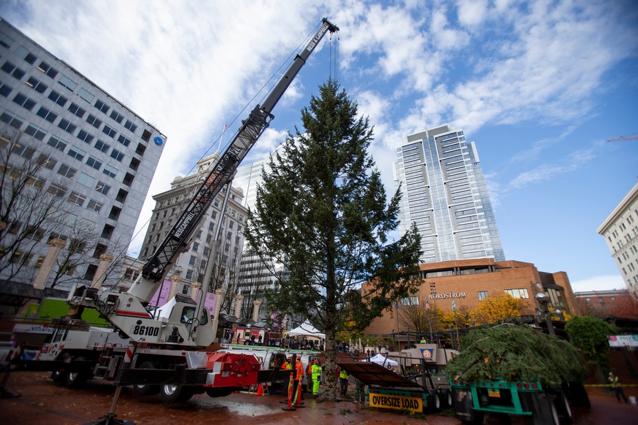 Stimson Lumber Tree Arrival event photo