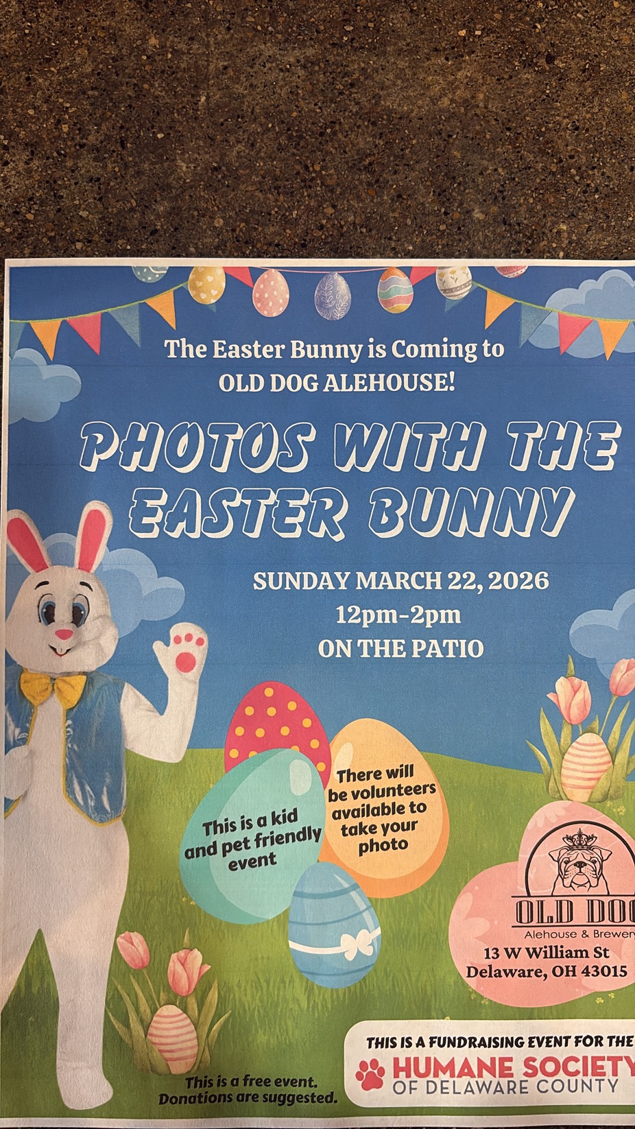 Photos with The Easter Bunny event photo