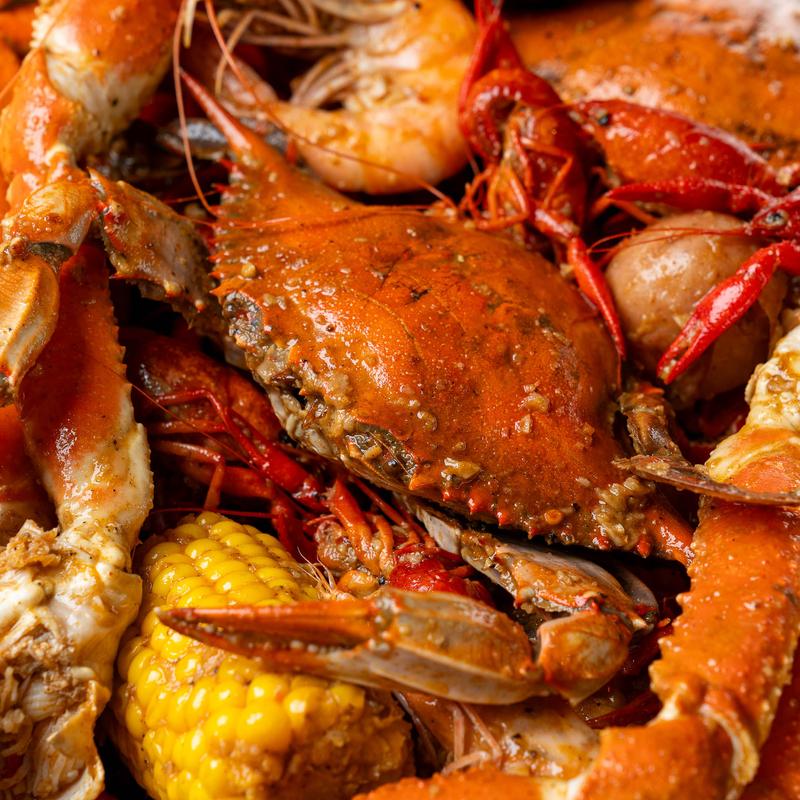 The Yummy-Nator photo