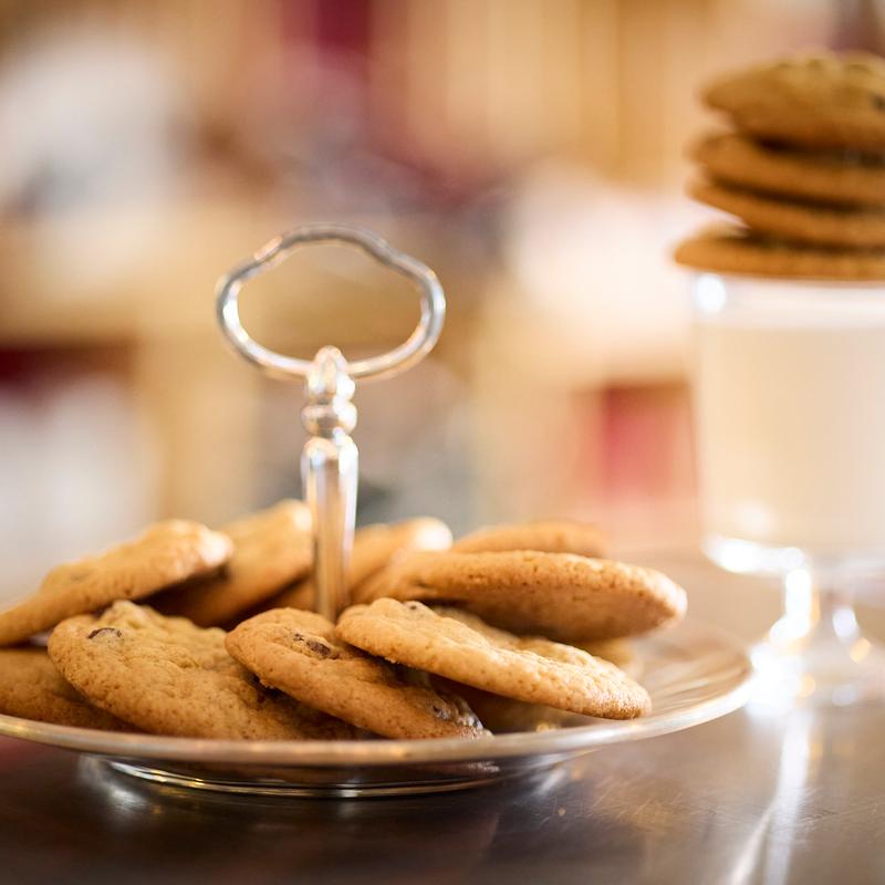 Chocolate Chip photo