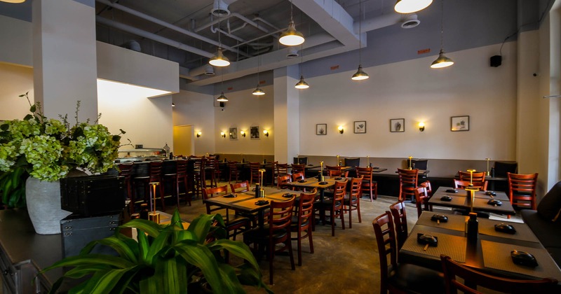 Interior, wide view of dining area