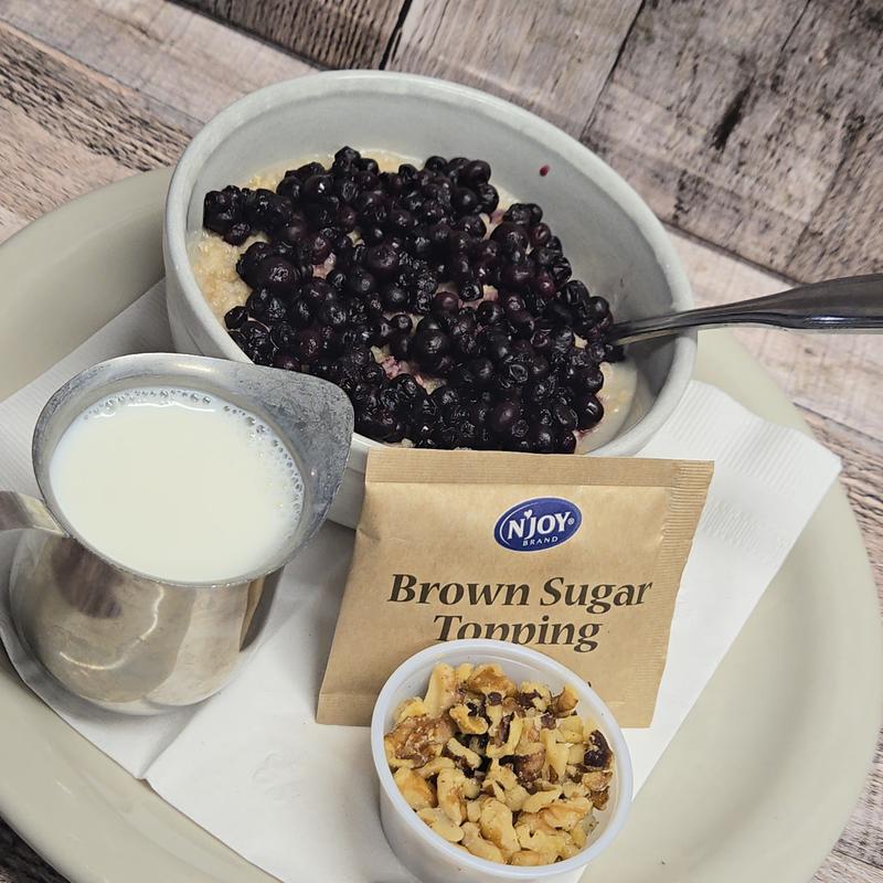 Bowl of Oatmeal photo