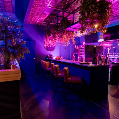 Bar area with blue and purple lighting, tufted stools, and hanging flower decor.