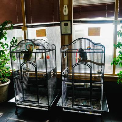 gallery photo number 2