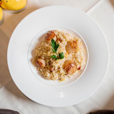 Scallop risotto