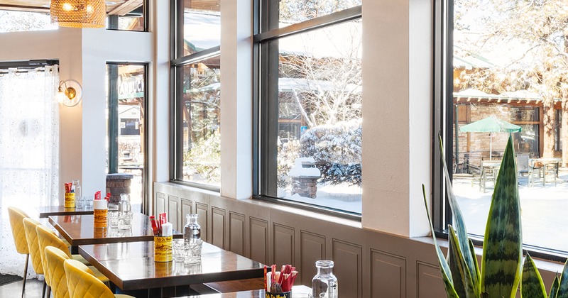 Interior, seating space by the windows