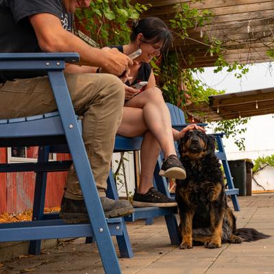 gallery photo number 73