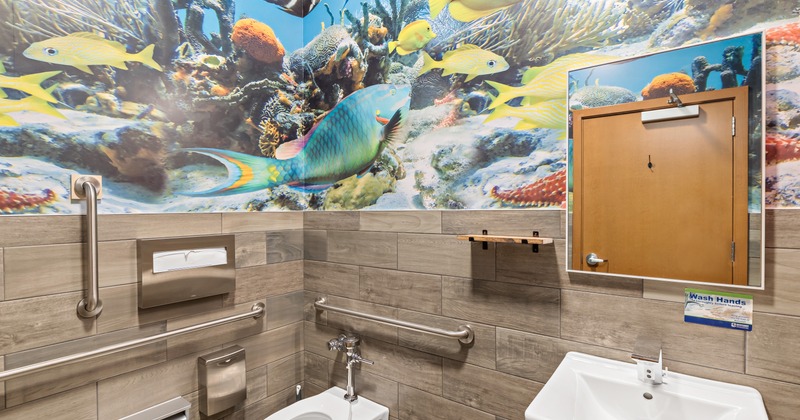 Restaurant bathroom with a marine life mural