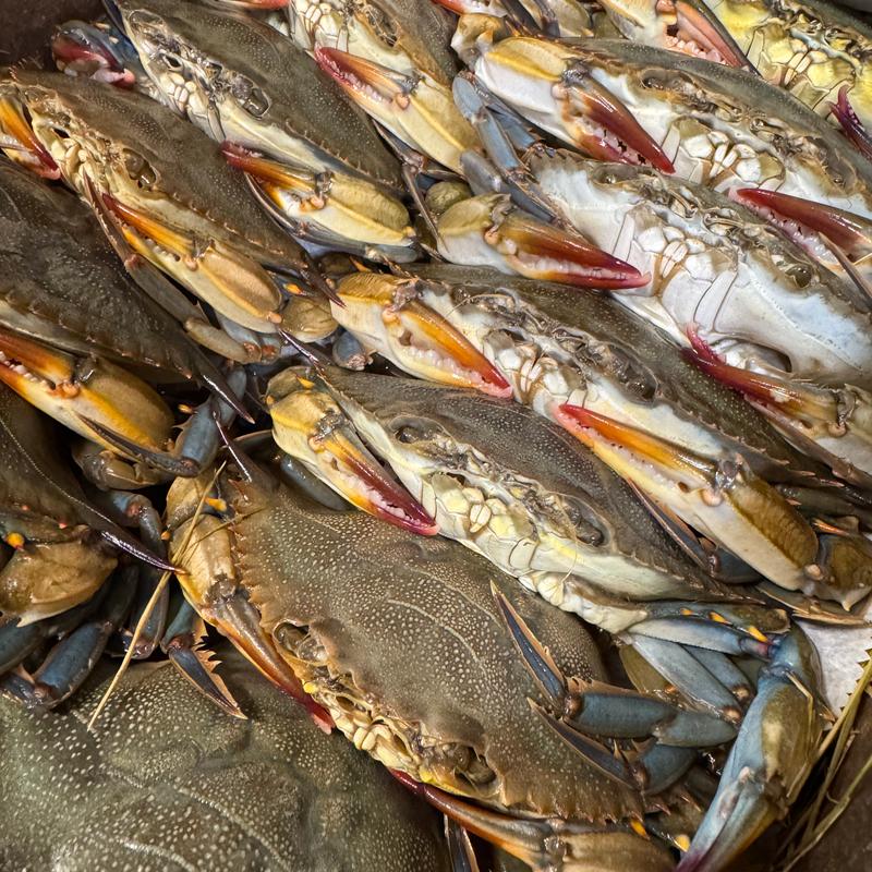 Soft Shell Crab Sandwich photo