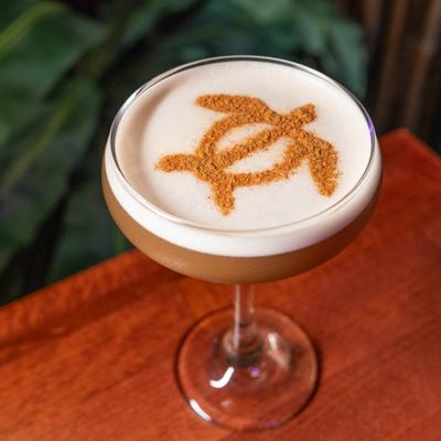 Hairy coconut cocktail with turtle shaped stencil design in cinnamon on top of the foam.