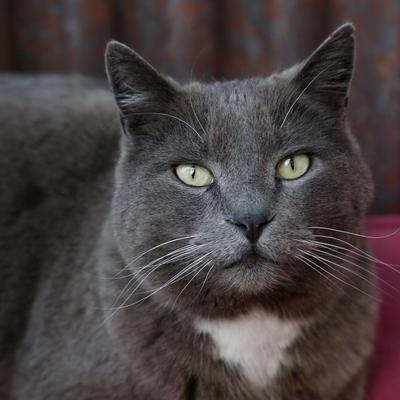 gallery photo number 9