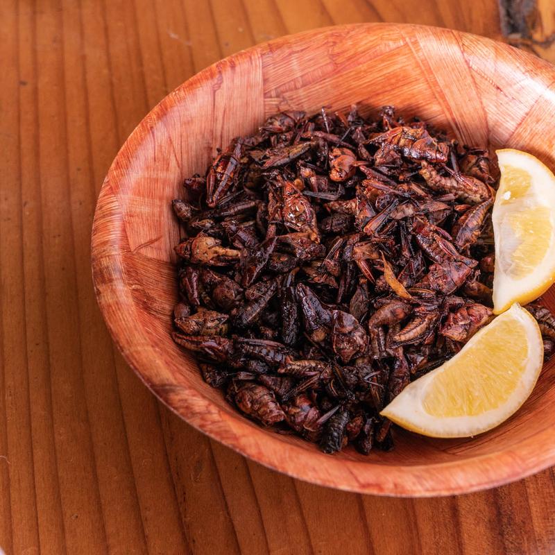 Chapulines photo