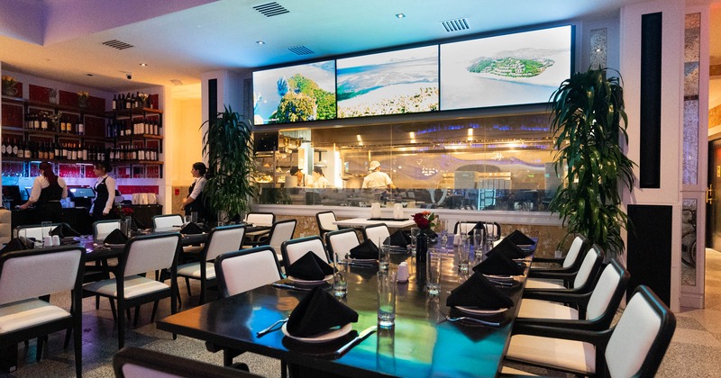 Interior, wide view, dining area