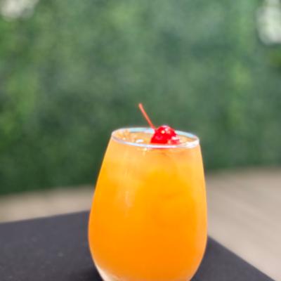 gallery photo number 5