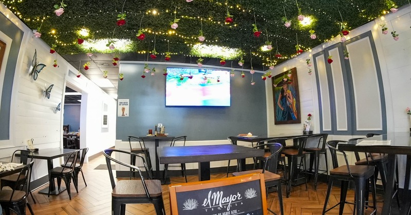 Interior, dining area