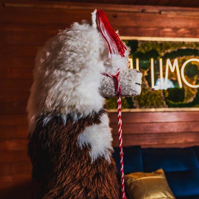 Interior, llama decoration.