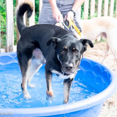 gallery photo number 14