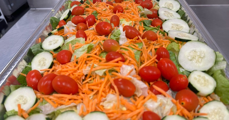 Salad tray