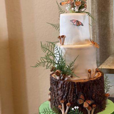 gallery photo number 74