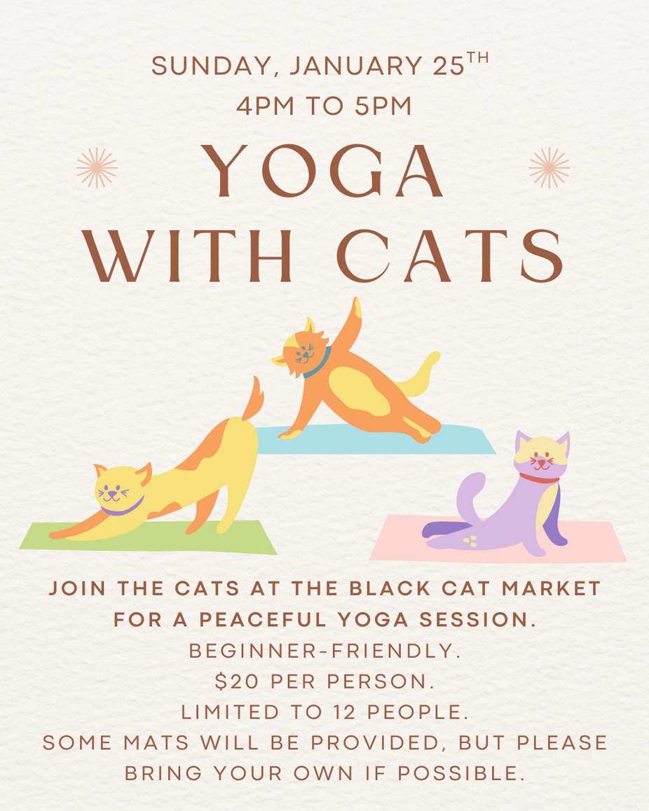 Yoga with Cats - January 25th event photo