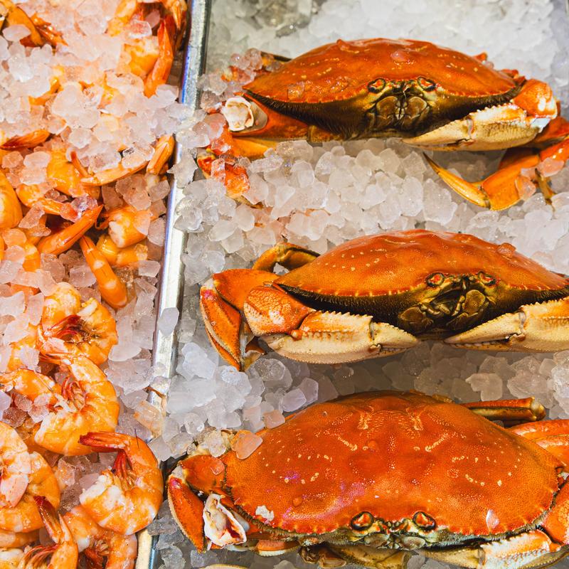 Dungeness Crab photo