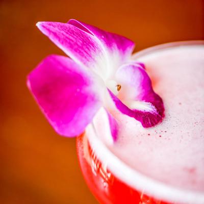 Close up of glass of Kiss from a Rose cocktail, garnished with a purple flower