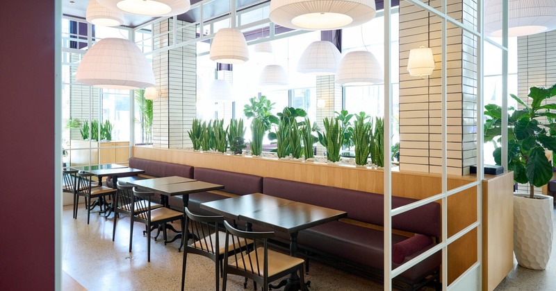 Interior, tables, chairs and benches with cushion