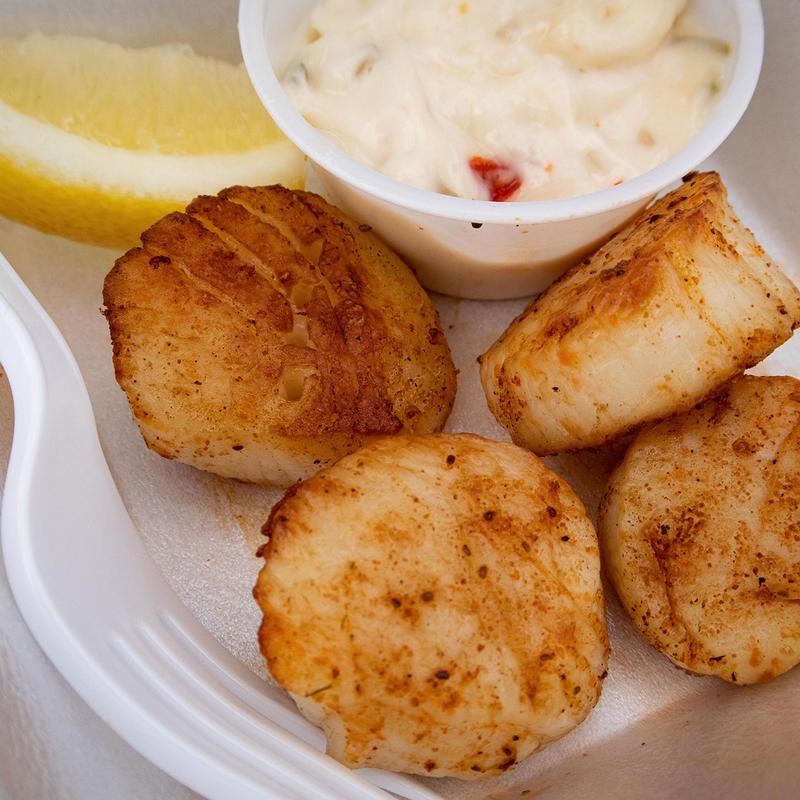 Scallops photo