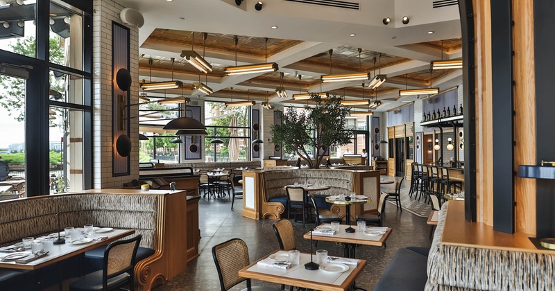 Modern restaurant interior with booths, tables, large windows and a central tree.